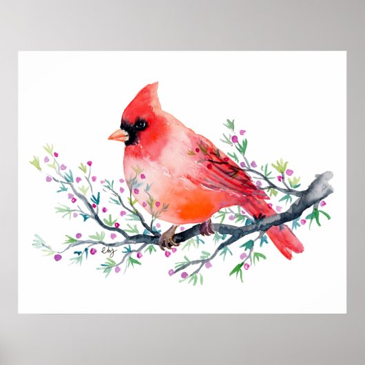 Roter Kardinal der Wasserfarbe auf der Zweigstelle Poster (Vorne)
