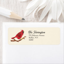 Roter Kardinal Elegante Absenderadresse