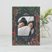 Roter Kardinal Feiertag Weihnachten Foto (Stehend Vorderseite)