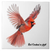 Roter Kardinal Fliese (Vorderseite)