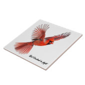 Roter Kardinal Fliese (Seite)