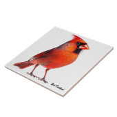 Roter Kardinal Fliese (Seite)