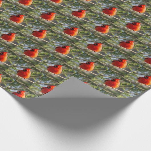 Roter Kardinal Geschenkpapier (Ecke)