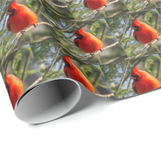 Roter Kardinal Geschenkpapier (Rolleneckpunkt)