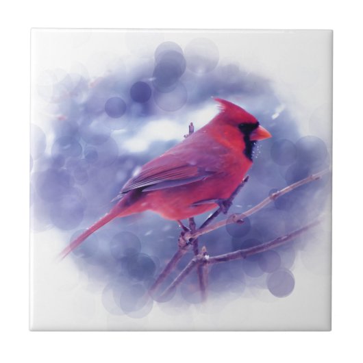 Roter Kardinal im Blizzard Fliese (Vorderseite)