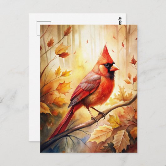Roter Kardinal im Herbst Postkarte (Vorne/Hinten)