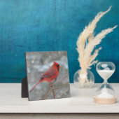 Roter Kardinal im Schnee Fotoplatte (InSitu)