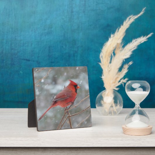 Roter Kardinal im Schnee Fotoplatte (InSitu)