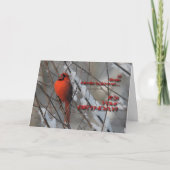 Roter Kardinal im Schnee - Geburtskarte Karte (Vorderseite)