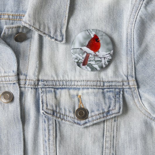 Roter Kardinal im Schnee-Knopf Button (Beispiel)