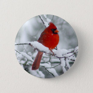 Roter Kardinal im Schnee-Knopf Button