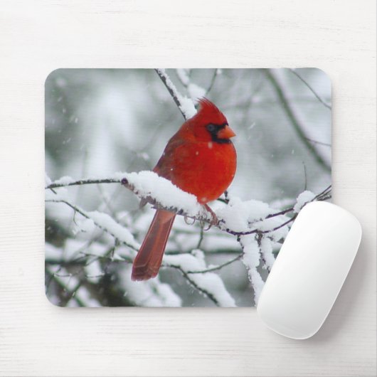 Roter Kardinal im Schnee Mousepad (Mit Mouse)