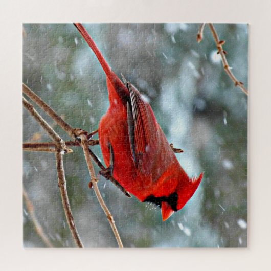 Roter Kardinal im Schnee Puzzle (Horizontal)