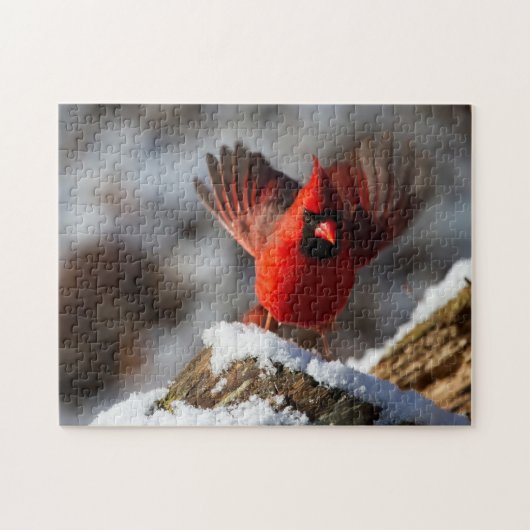 Roter Kardinal im Schnee Puzzle (Horizontal)