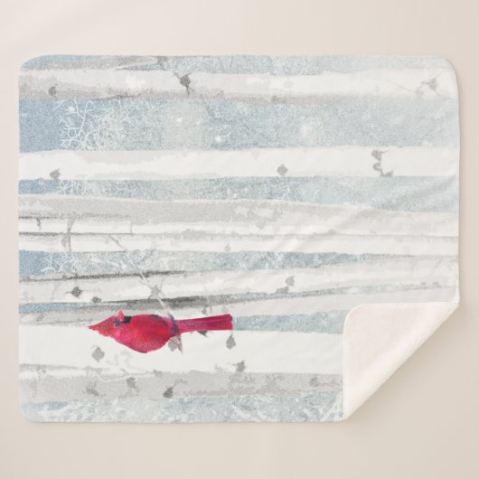 Roter Kardinal im schönen, schneebedeckten Birkenw Sherpadecke (Vorderseite (Horizontal))