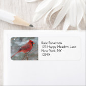 Roter Kardinal im Winter (Insitu)