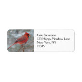 Roter Kardinal im Winter (Vorne)