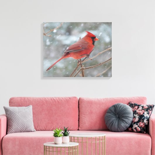Roter Kardinal im Winter Leinwanddruck (Insitu (Wohnzimmer))