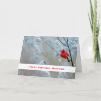 Roter Kardinal im Winter Nature Foto Geburtstag