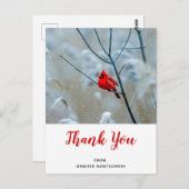 Roter Kardinal im Winter Nature Foto Vielen Dank Postkarte (Vorne/Hinten)