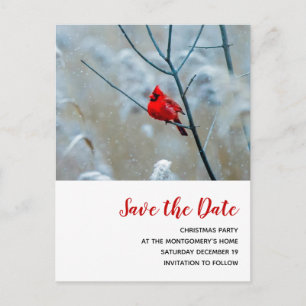 Roter Kardinal im Winter Weihnachten Save the Date Einladungspostkarte