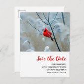 Roter Kardinal im Winter Weihnachten Save the Date Einladungspostkarte (Vorne/Hinten)