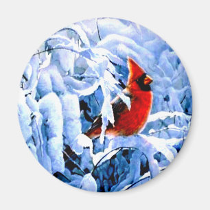 Roter Kardinal im Winterschnee Magnet