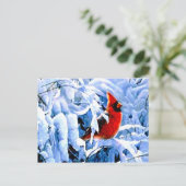 Roter Kardinal im Winterschnee Postkarte (Stehend Vorderseite)