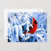 Roter Kardinal im Winterschnee Postkarte (Vorne/Hinten)