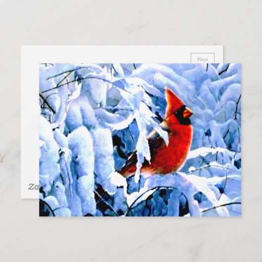 Roter Kardinal im Winterschnee Postkarte (Vorne/Hinten)