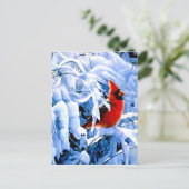 Roter Kardinal im Winterschnee Postkarte (Stehend Vorderseite)