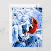 Roter Kardinal im Winterschnee Postkarte (Vorne/Hinten)