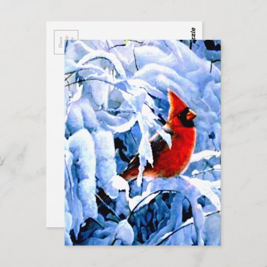 Roter Kardinal im Winterschnee Postkarte (Vorne/Hinten)