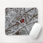 Roter Kardinal in einem schneebedeckten Baummousep Mousepad (Mit Mouse)