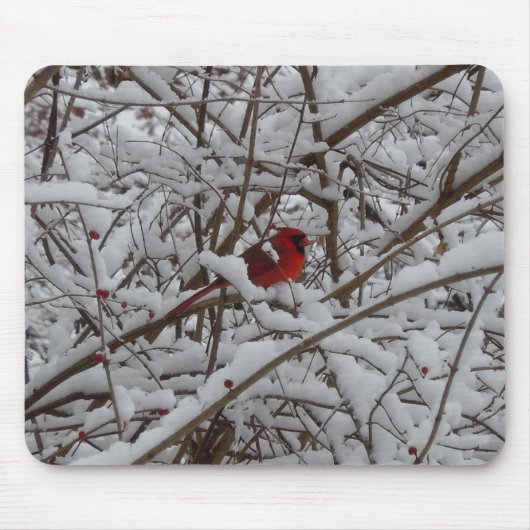 Roter Kardinal in einem schneebedeckten Baummousep Mousepad (Vorne)