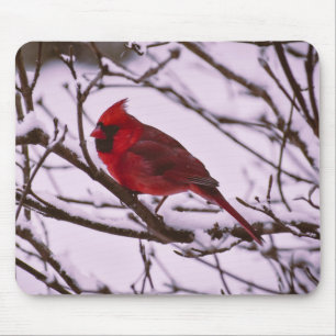 Roter Kardinal in einem schneebedeckten Baummousep Mousepad