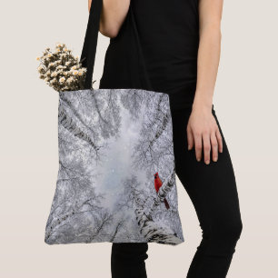 Roter Kardinal in einem winterlichen weißen Birken Tasche