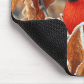 Roter Kardinal in frostigen Herbstblättern Mousepad (Ecke)