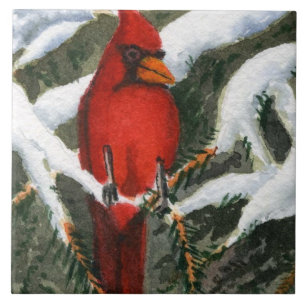 Roter Kardinal in schneebedeckten Kiefern Fliese