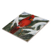 Roter Kardinal in schneebedeckten Kiefern Fliese (Seite)