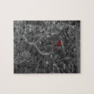 Roter Kardinal in Schwarz und Weiß Puzzle