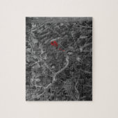 Roter Kardinal in Schwarz und Weiß Puzzle (Vertikal)