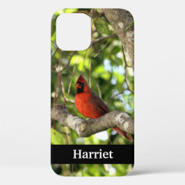Roter Kardinal in Tree Personalisiert Case-Mate iPhone Hülle