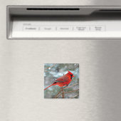Roter Kardinal Magnet (In Situ (Geschirrspüler))