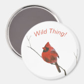 Roter Kardinal Magnet (Vorderseite/Rückseite)