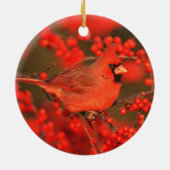 Roter Kardinal-Männchen, IL Keramikornament (Hinten)