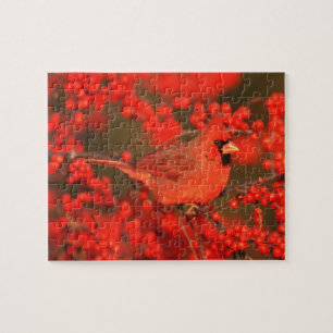 Roter Kardinal-Männchen, IL Puzzle