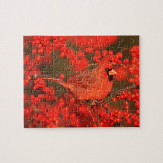 Roter Kardinal-Männchen, IL Puzzle (Horizontal)