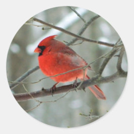 Roter Kardinal (männlich) Runder Aufkleber