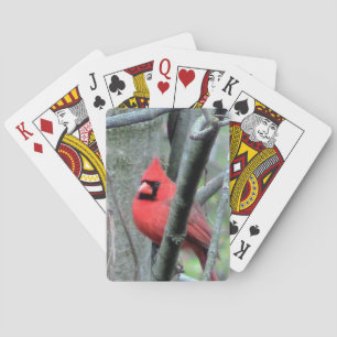 Roter Kardinal (männlich) Spielkarten